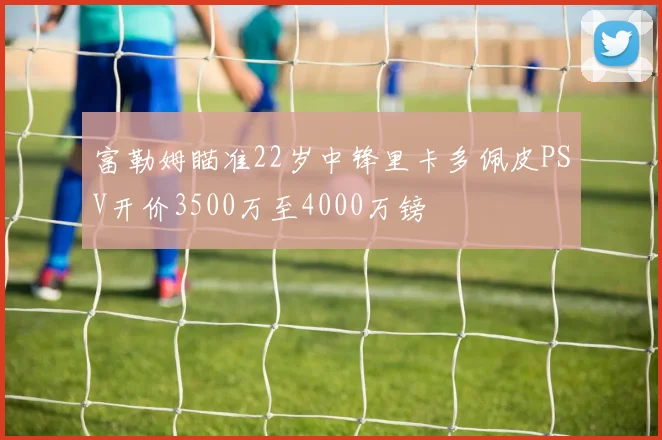 富勒姆瞄准22岁中锋里卡多佩皮PSV开价3500万至4000万镑