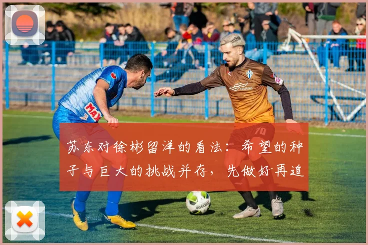 苏东对徐彬留洋的看法：希望的种子与巨大的挑战并存，先做好再追求完美