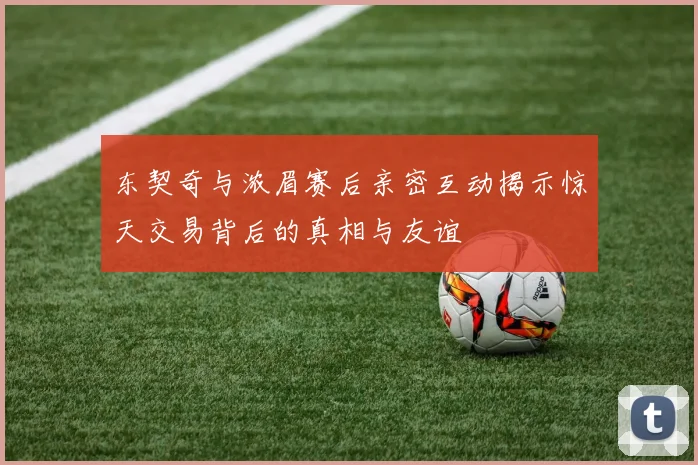 东契奇与浓眉赛后亲密互动揭示惊天交易背后的真相与友谊
