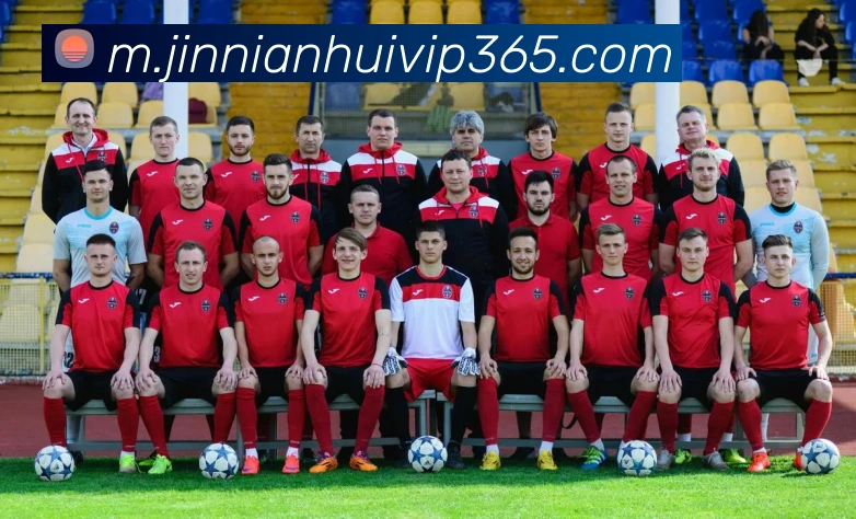 金年会体育APP 封面图